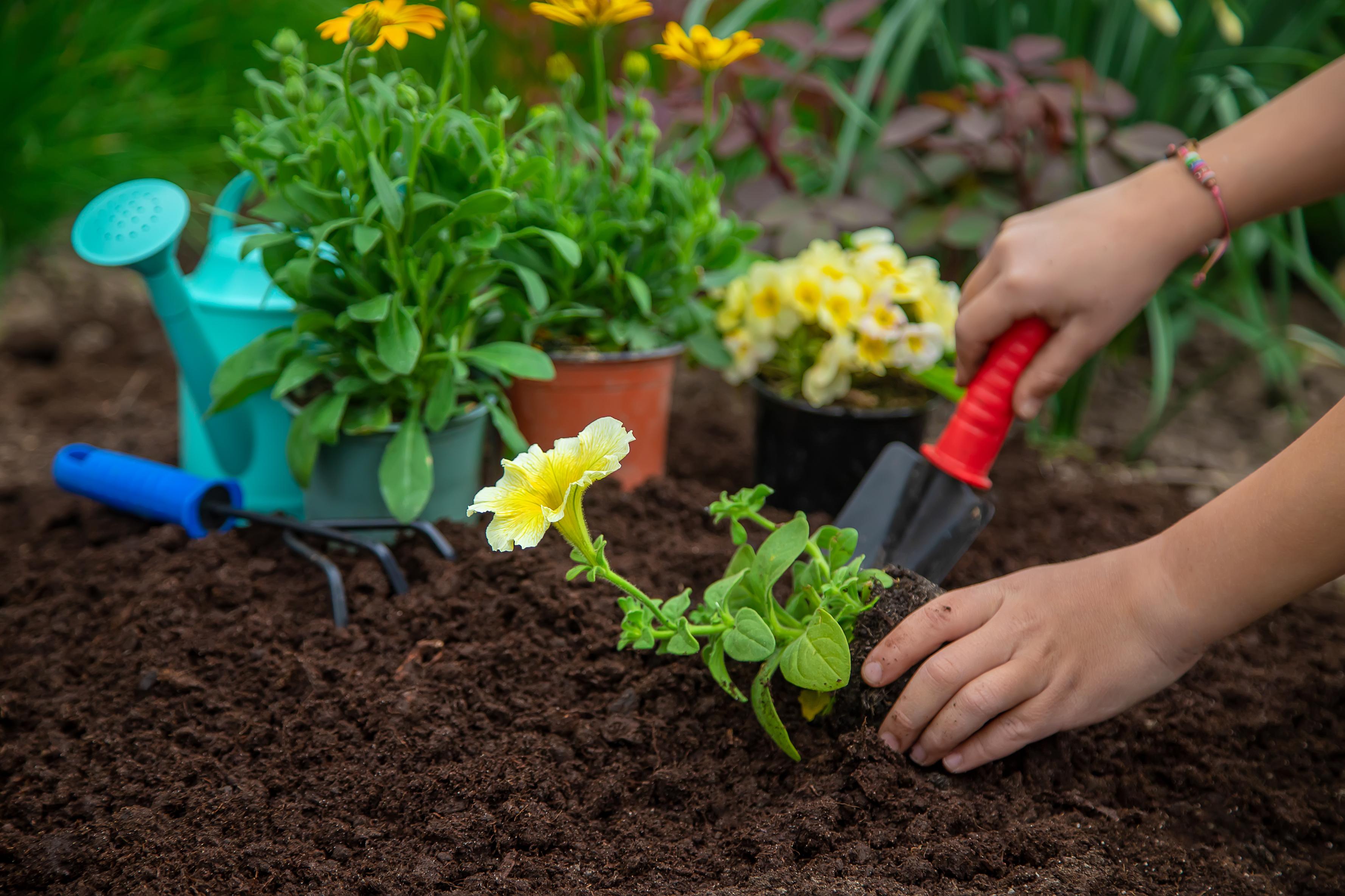 planting in GardenPro Soil